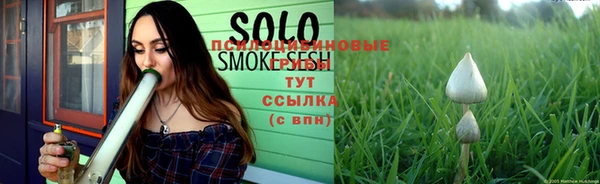 стафф Осинники