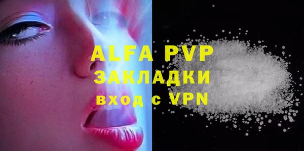 стафф Осинники