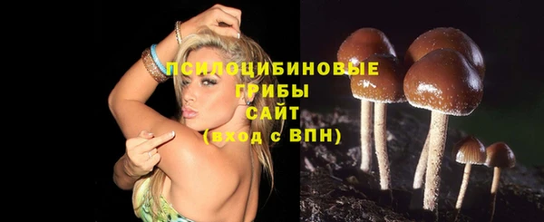 стафф Осинники