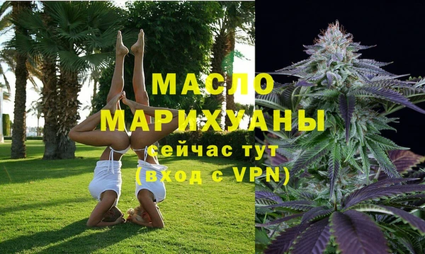 винт Пересвет