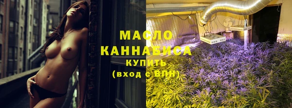 винт Пересвет