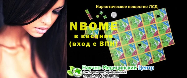 стафф Осинники