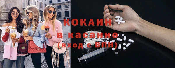 стафф Осинники